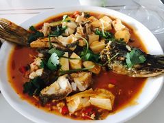 -煲来饱去冷水鱼