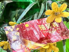 -一煲鸽