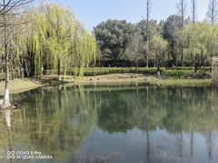 -南北湖风景区