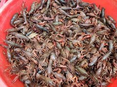 -青石桥市场北1-27号