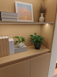 -Dr.林醫生产后修复·配方产康(南京江宁万达店)