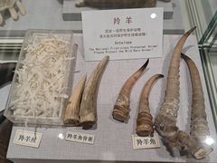 -北京中医药大学-中医药博物馆