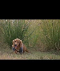 -蜜糖派儿童摄影(青建·太阳岛店)