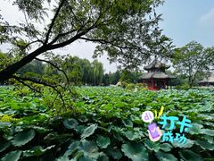 -莲池书院博物馆