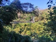 -西双版纳原始森林公园