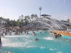 -横店影视城梦幻谷园区