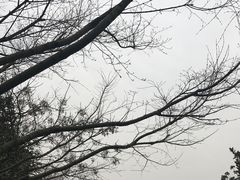 -圩墩遗址公园