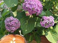 -Beans Solo豆号咖啡(百家湖花园店)