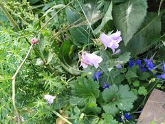 -白草畔自然风景区