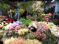 -双季花艺园艺市场(浦东店)
