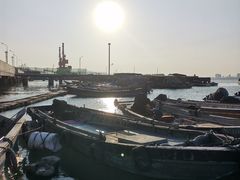 -海堤纪念公园