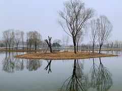 -大兴滨河森林公园