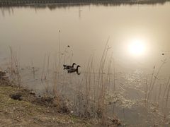 -天津东丽湖风景区