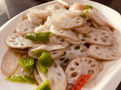 炒藕丹-洪泽湖湾