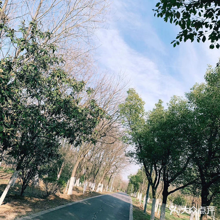 西扩公园