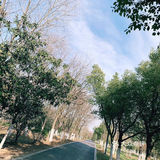西扩公园