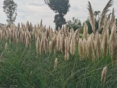 -汉长安城未央宫国家考古遗址公园