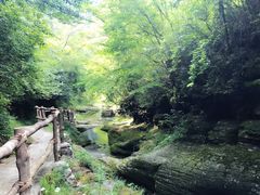 -黎坪国家森林公园