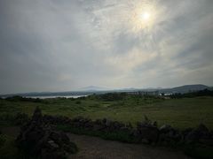 -涉地可支