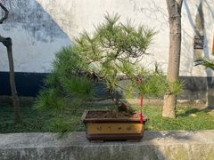 -黎里柳亚子纪念馆