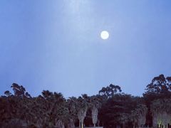 -厦门国家会计学院