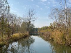 -溱湖国家湿地公园