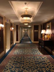 -上海大酒店·婚宴年会宴会厅