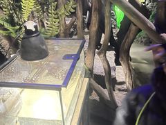 -江和美海洋公园