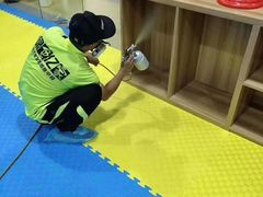 -绿色亿家除甲醛机构