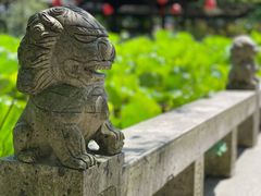 景点-上海醉白池公园