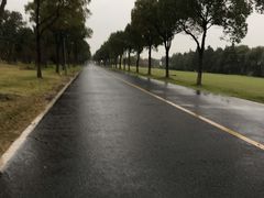 -漕湖湿地公园