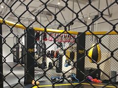 -FLARE STAR FITNESS(复地活力城店)