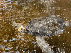 -海鲜e族(马王堆店)