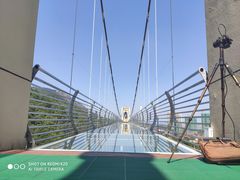 -客天下恐龙水晶玻璃桥