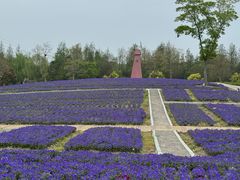 -同里国家湿地公园