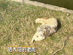 -无锡动物园·太湖欢乐园