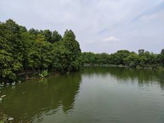-东湖落雁景区