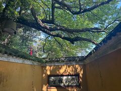 -普陀山风景区-佛顶山