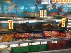-南丫岛