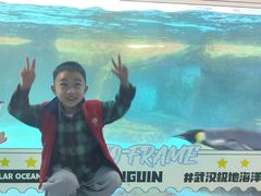 -海合安武汉极地海洋公园
