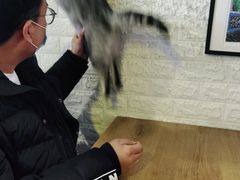 -平行世界·猫咖(首经贸店)
