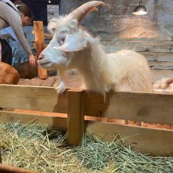 -Zoolung Zoolung动物主题公园(海信广场店)