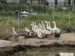 -妈妈的小作坊(陈家镇店)