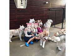 -TrueLove @ Neverland (Husky Cafe)