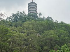 -深圳国际园林花卉博览园