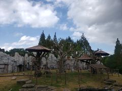 -野生动物园-停车场