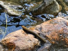 -碓臼峪自然风景区