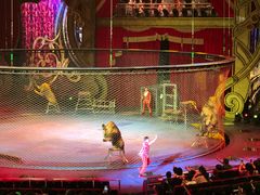 -珠海横琴长隆《卡卡虎奇遇记》