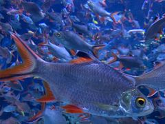 -成都浩海立方海洋公园