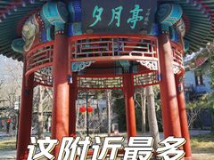 -月坛公园